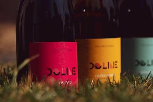 doline lab