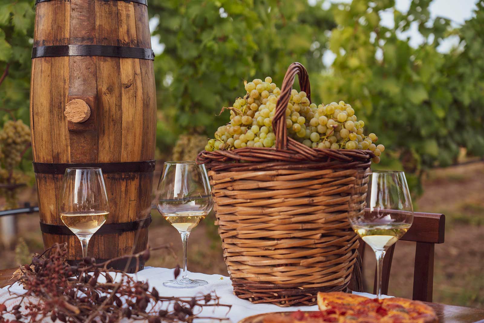 visite in cantina 1
